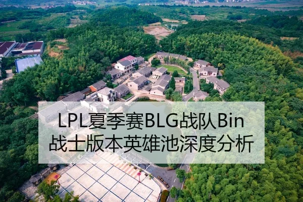 LPL夏季赛BLG战队Bin战士版本英雄池深度分析