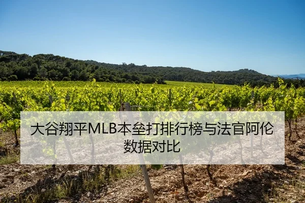 大谷翔平MLB本垒打排行榜与法官阿伦数据对比