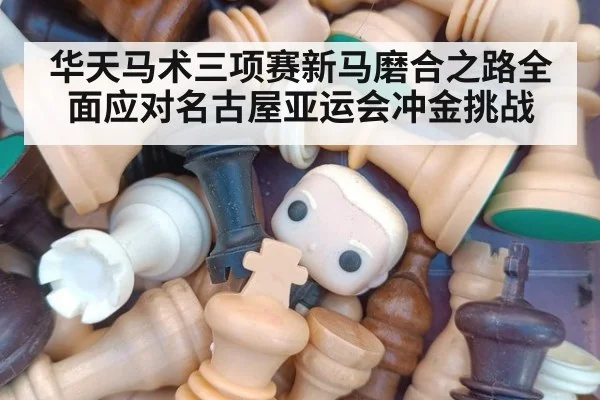 华天马术三项赛新马磨合之路全面应对名古屋亚运会冲金挑战