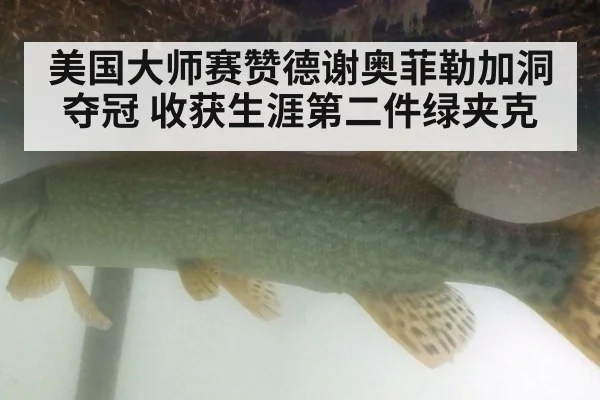 美国大师赛赞德谢奥菲勒加洞夺冠 收获生涯第二件绿夹克
