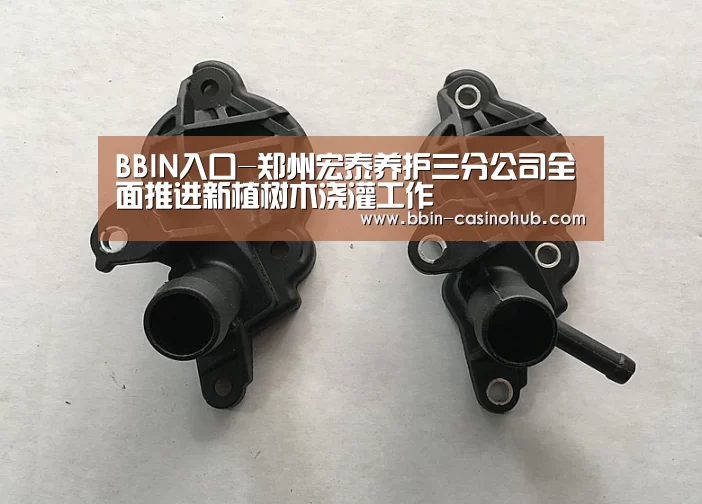BBIN足球